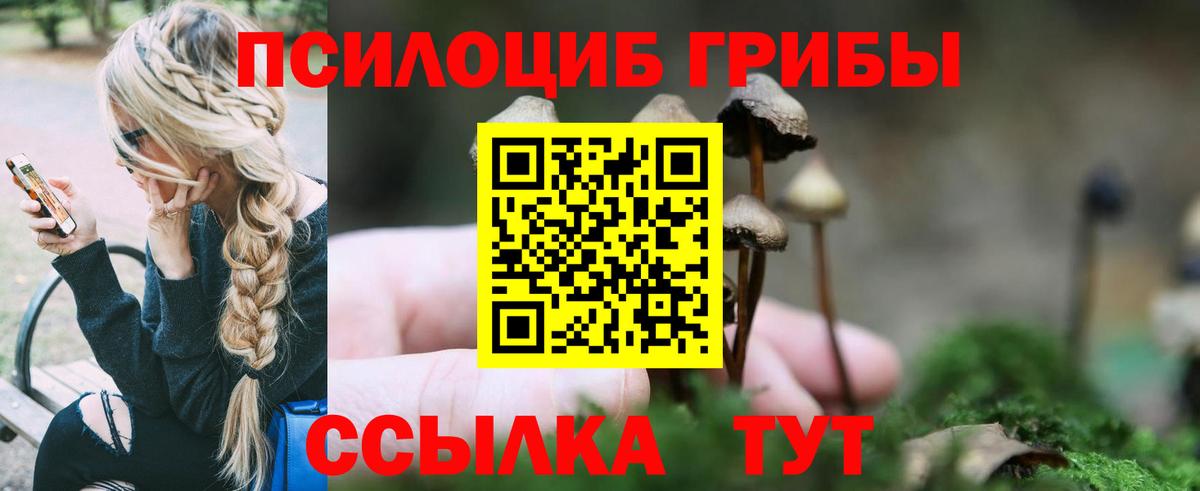 Псилоцибиновые грибы мицелий  Вход с VPN  Псилоцибиновые грибы Cubensis  Мичуринск 